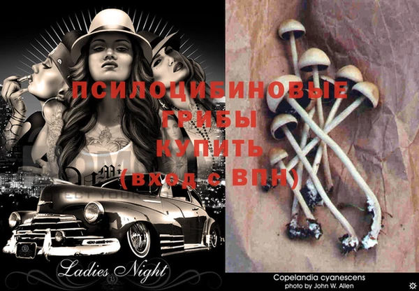 бутират Бородино