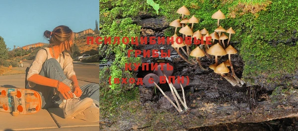 PSILOCYBIN Бугульма