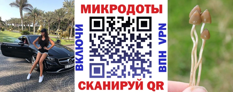 Галлюциногенные грибы мицелий  даркнет сайт  Горняк 
